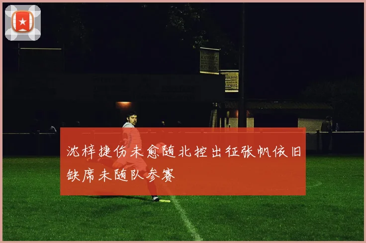 沈梓捷伤未愈随北控出征张帆依旧缺席未随队参赛